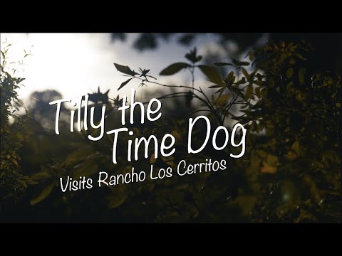 Tilly the Time Dog Visits Rancho Los Cerritos
