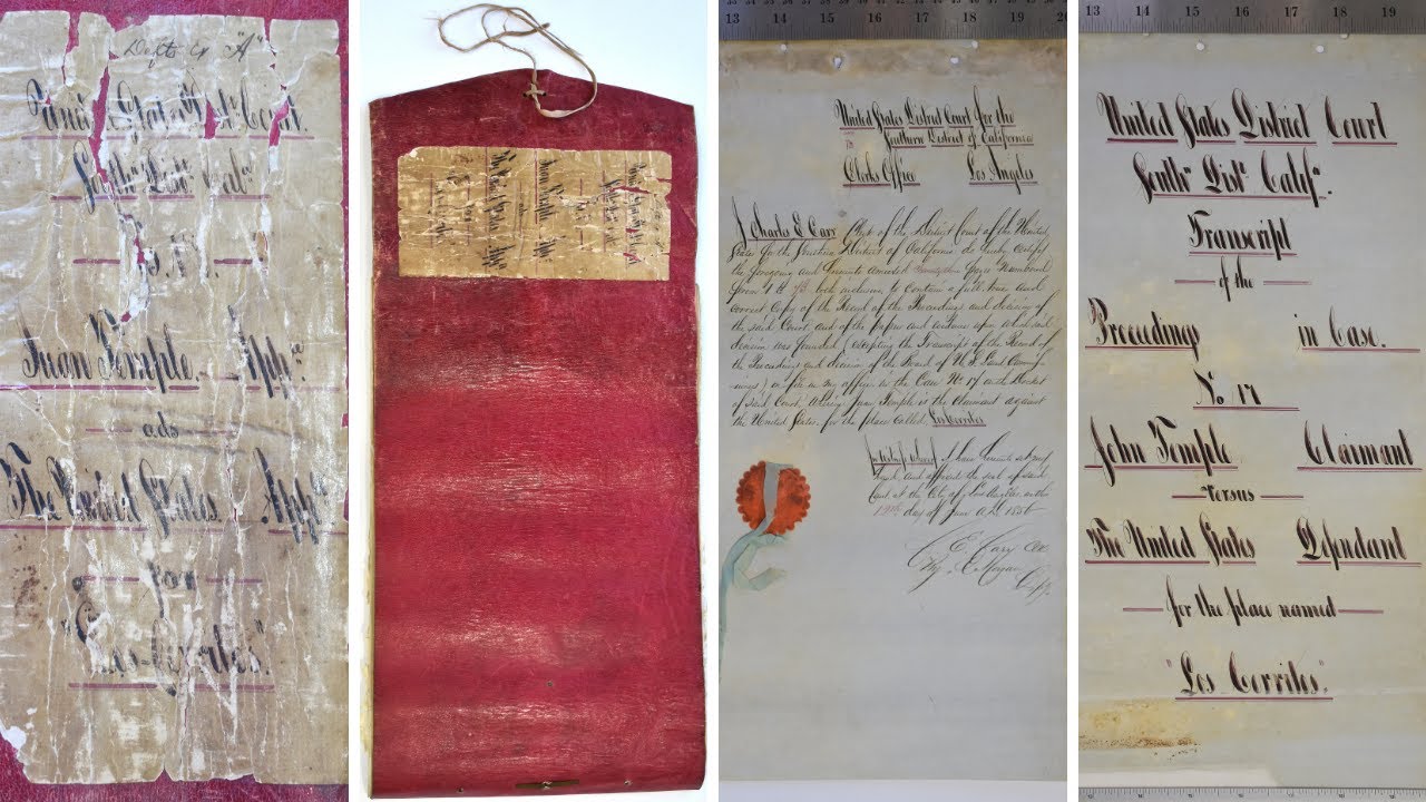 Collections Highlights - Appeal Document