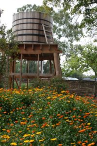 Water Tower with Calendulas