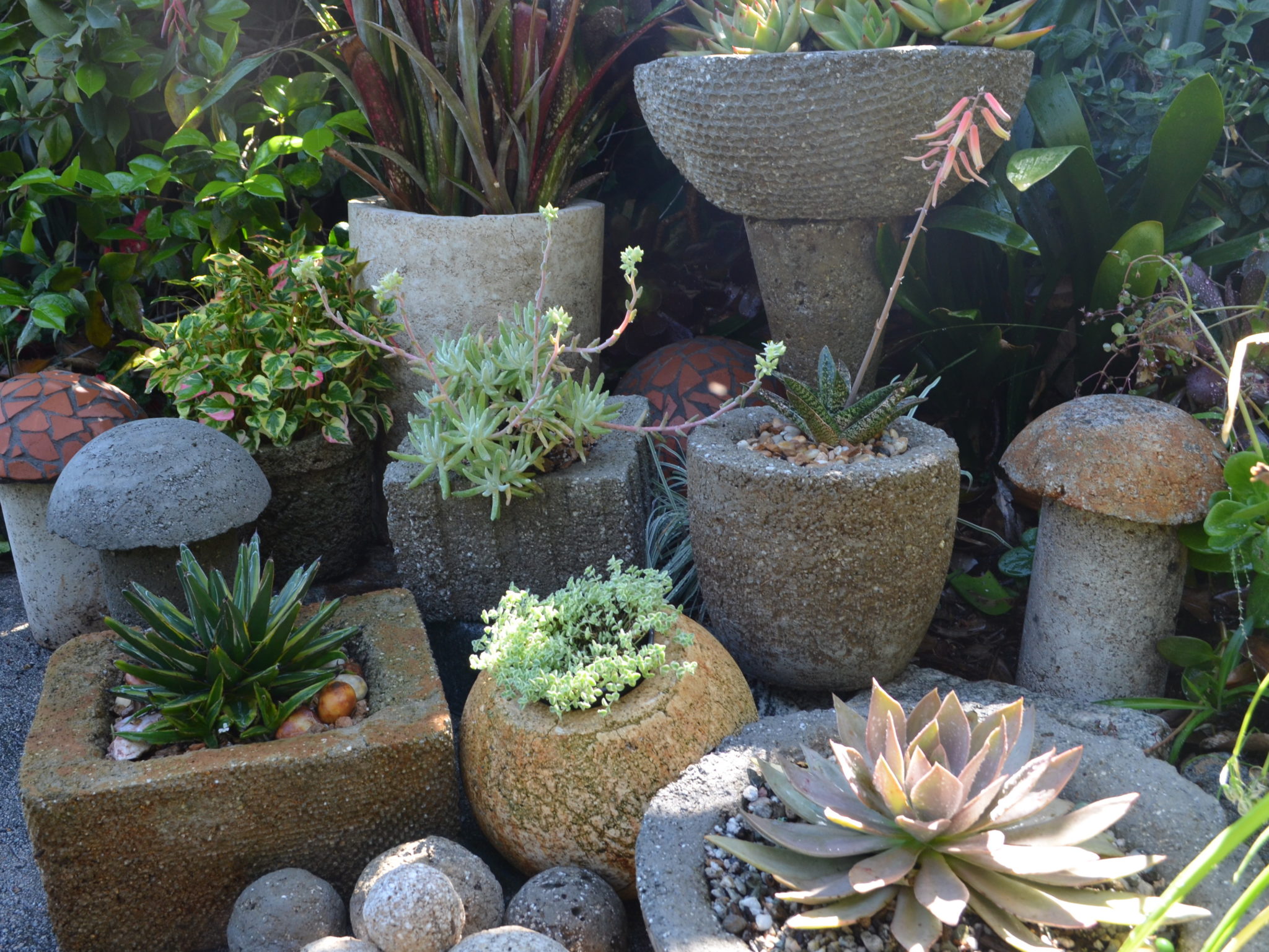 hypertufa pots planted with succulents