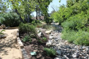 Dry creek native garden with view of Visitor Center