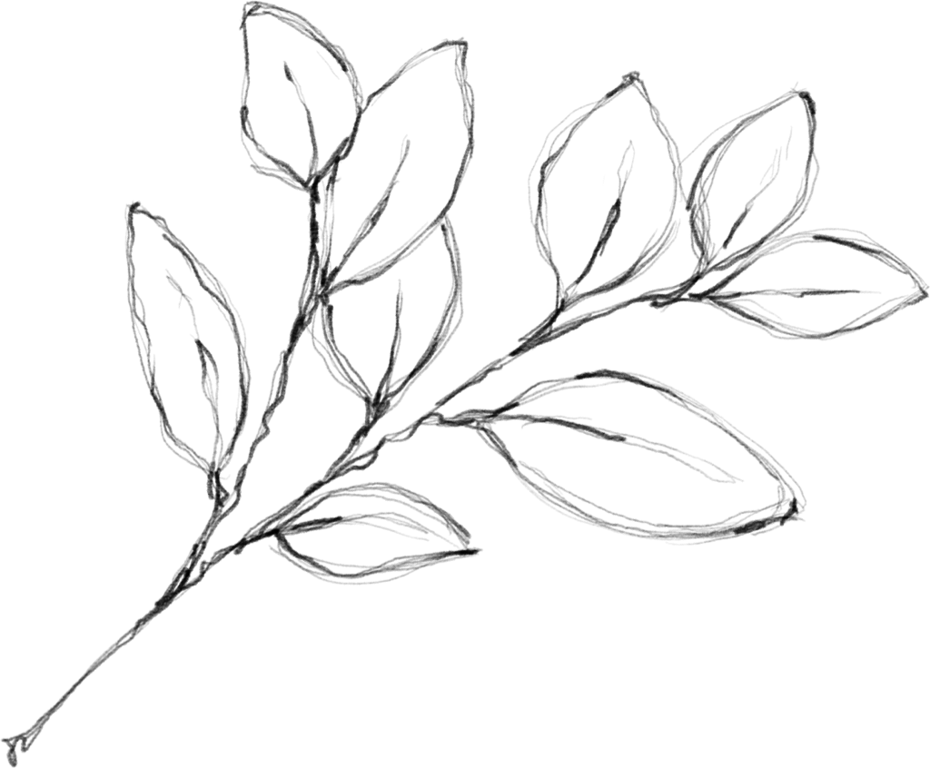 Upward view of a plant on bottom left corner