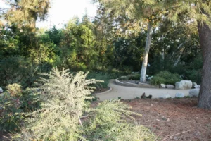 Serene garden path surrounded by lush greenery.