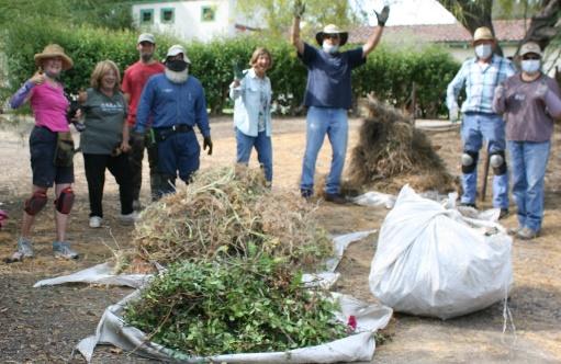 Group gardening and clearing yard.
