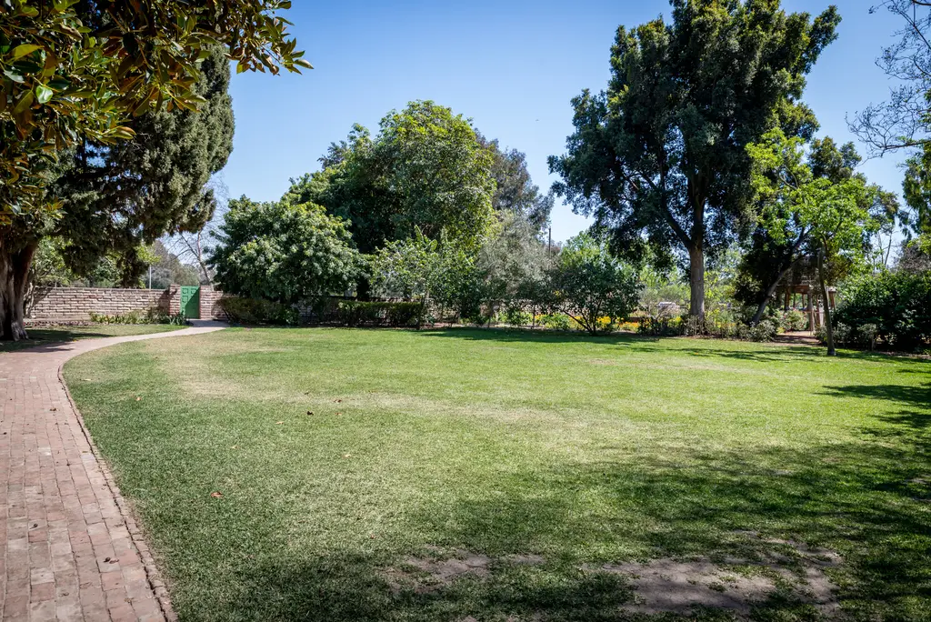 Sunny park landscape with green grass and trees.