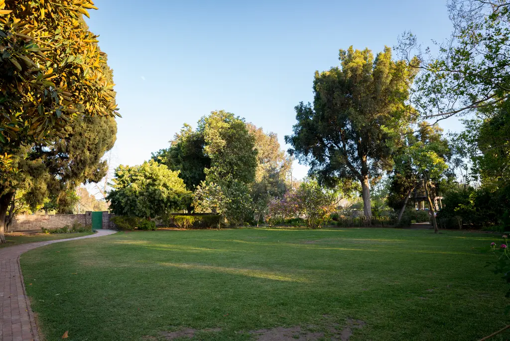 Sunny park scenery with trees and green grass