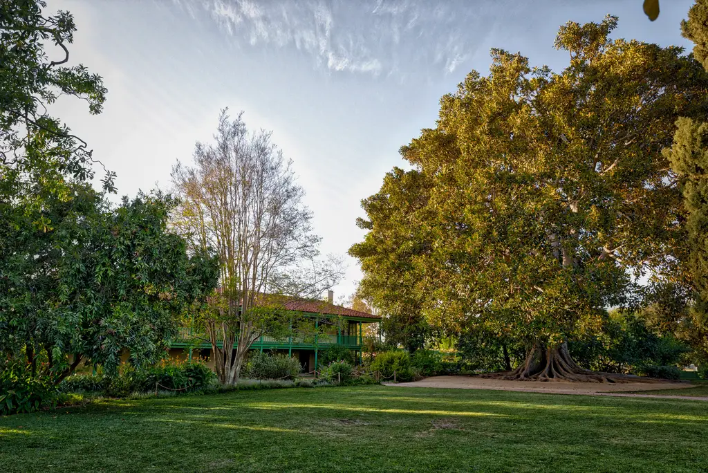 House surrounded by lush green trees and grass.