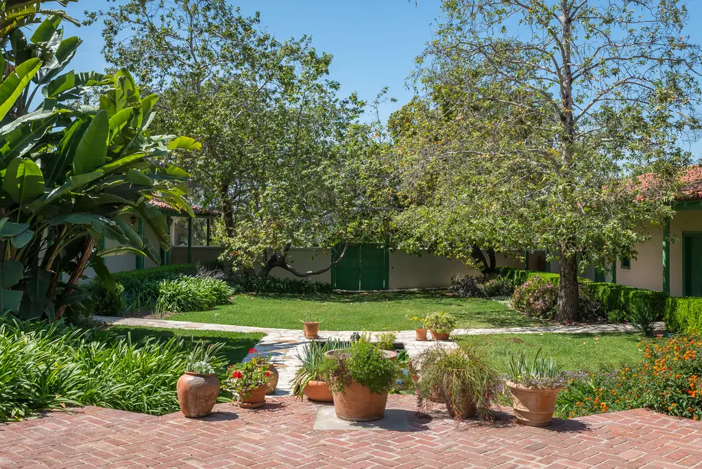 Sunny garden with brick patio and potted plants.