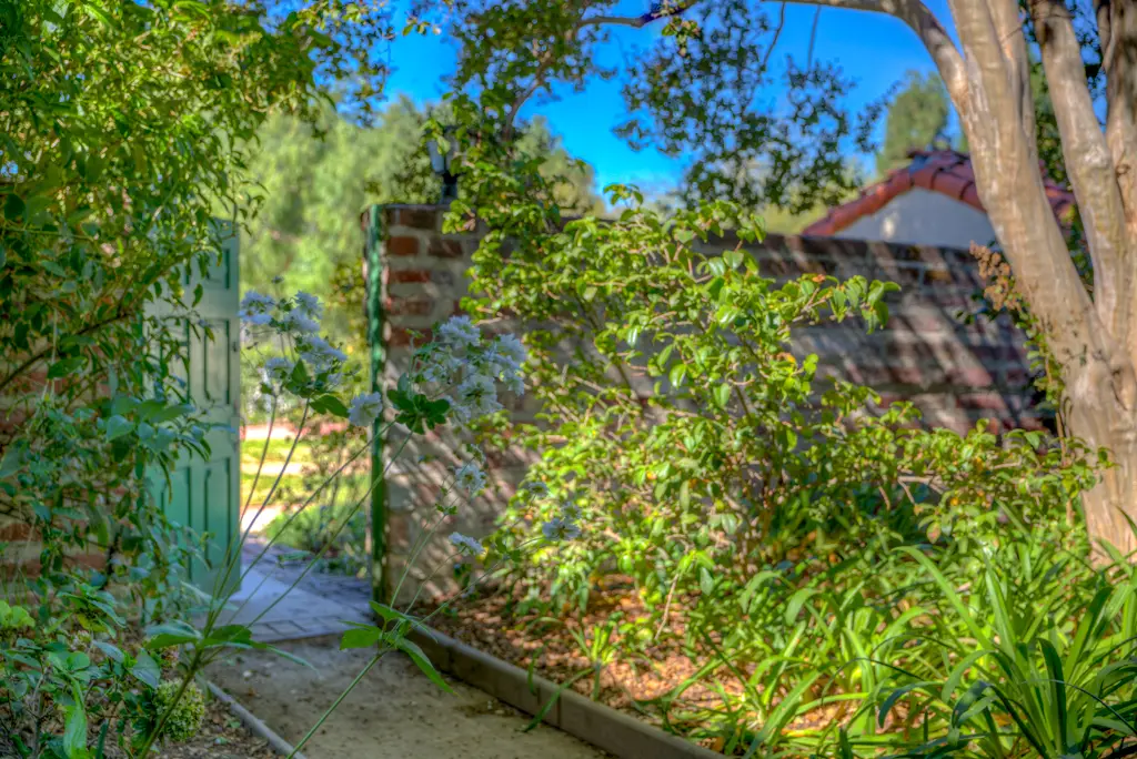 Garden path with open gate and bright sunlight.