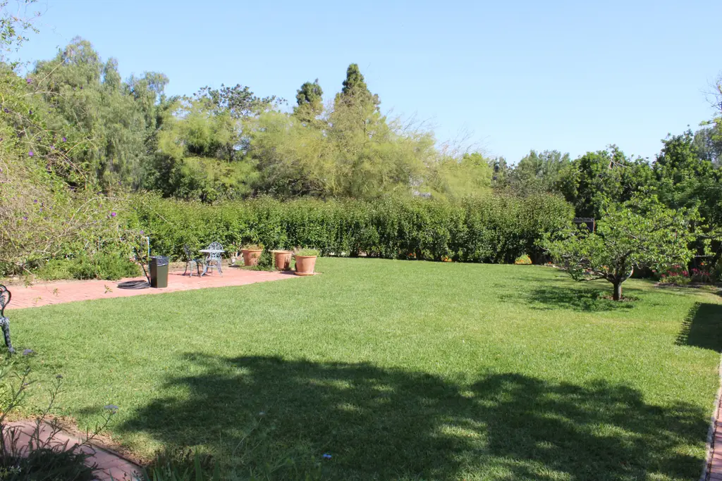 Sunny backyard with grass and trees