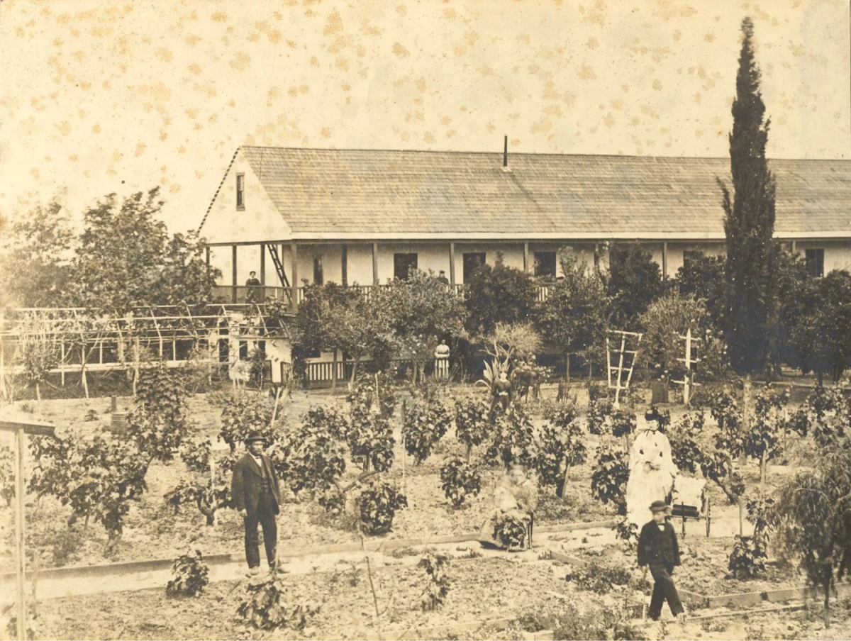 Old two-story building with trees, plants.
