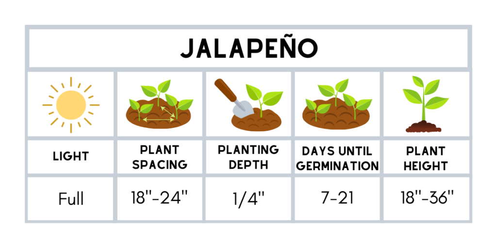 Jalapeño planting guide: light, spacing, depth, germination, height.