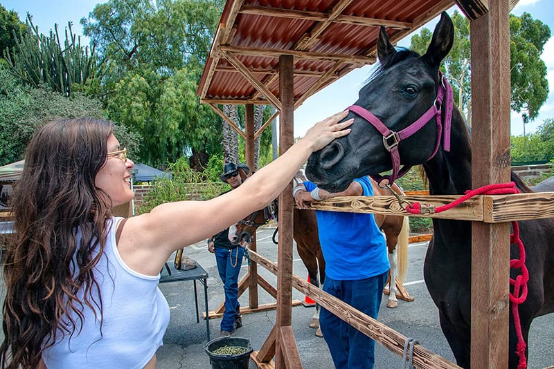 Woman petting a black horse at an outdoor event.