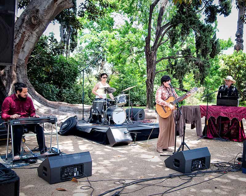 Outdoor band performance under large tree.