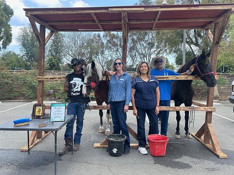 Group posing with two horses at outdoor event.